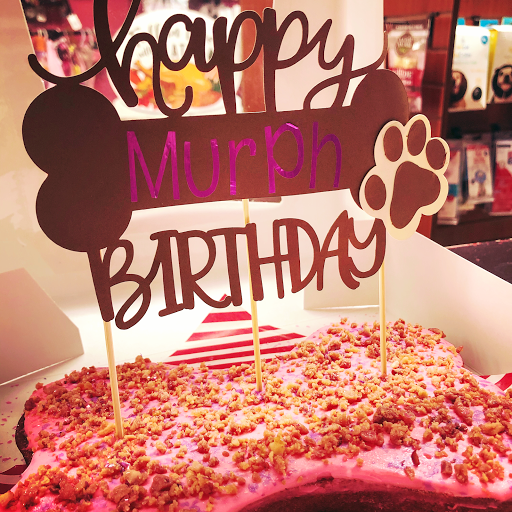 Pet Supply Store «Haute Dogs Boutique & Barkery», reviews and photos, 507 Georgia St, Vallejo, CA 94590, USA