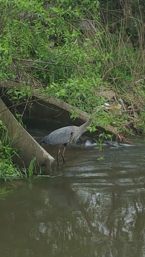 Park «Dr. James A. Dillon Park», reviews and photos, 6001 Edenshall Ln, Noblesville, IN 46060, USA