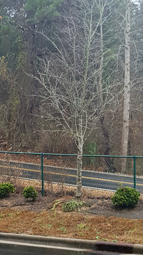 Resort «Great Wolf Lodge Concord», reviews and photos, 10175 Weddington Road, Concord, NC 28027, USA