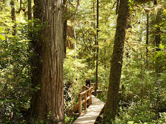 Rainforest Trail
