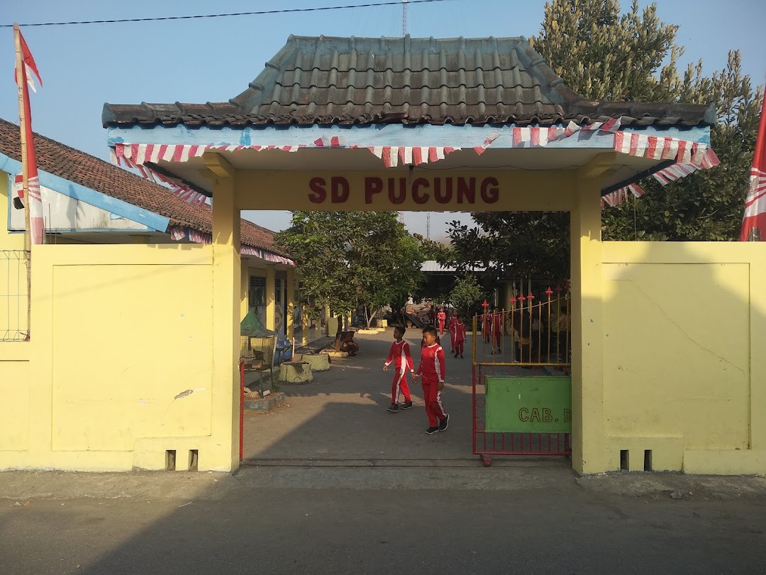 SD Pucung