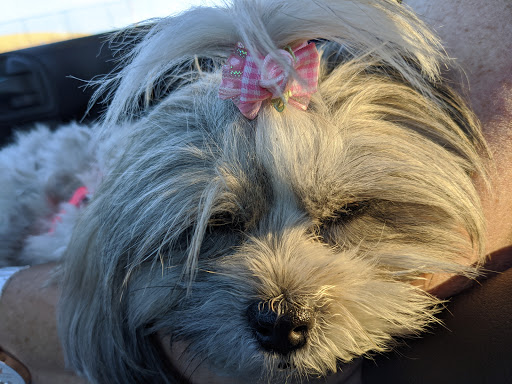 Subaru Dealer «Livermore Subaru», reviews and photos, 3600 Las Positas Rd, Livermore, CA 94551, USA