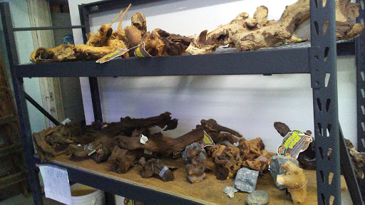 Tropical Fish Store «Midway Tropical Fish & Pets», reviews and photos, 24101 Pacific Hwy S, Kent, WA 98032, USA