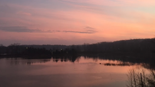 Winery «Seven Lakes Vineyard», reviews and photos, 1111 Tinsman Rd, Fenton, MI 48430, USA