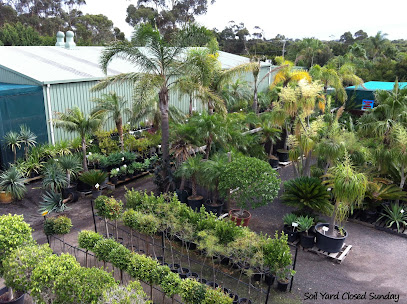 Palm Place Nursery and Tree Farm