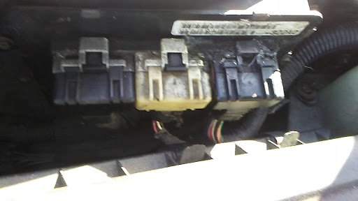 Auto Parts Store «International Auto Parts», reviews and photos, 12905 US-41, Spring Hill, FL 34610, USA