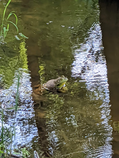 Nature Preserve «Hickory Creek Preserve», reviews and photos, Wolf Rd, Mokena, IL 60448, USA