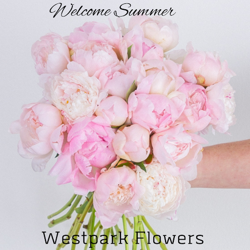 Florist «Floral Concepts», reviews and photos, 11261 Richmond Ave G109, Houston, TX 77082, USA