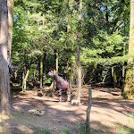 Photo n° 3 de l'avis de Ashley.A fait le 10/09/2023 à 07:23 pour Parc animalier et botanique & Parcabout de Branféré à Le Guerno