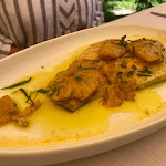 Photo n°2 de l'avis de Marco.i fait le 25/06/2023 à 17:03 sur le  “Il Sesto Canto” già fu La Conchiglia à Roccatederighi