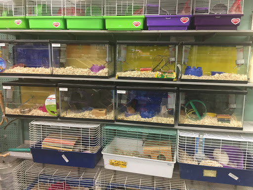 Pet Supply Store «Petland Discounts - Park Slope», reviews and photos, 510 5th Ave, Brooklyn, NY 11215, USA