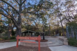 Bibbulmun Track Northern Terminus image