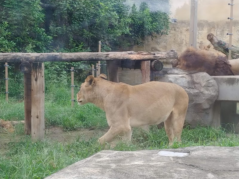 ふれあい動物の森