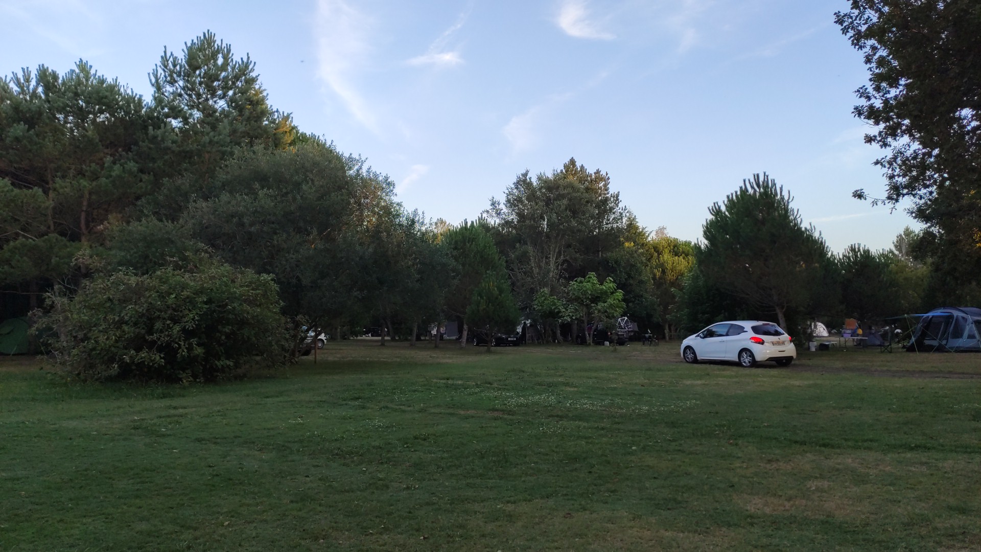 Photo n° 2 de l'avis de thelazer.a fait le 14/08/2020 à 18:45