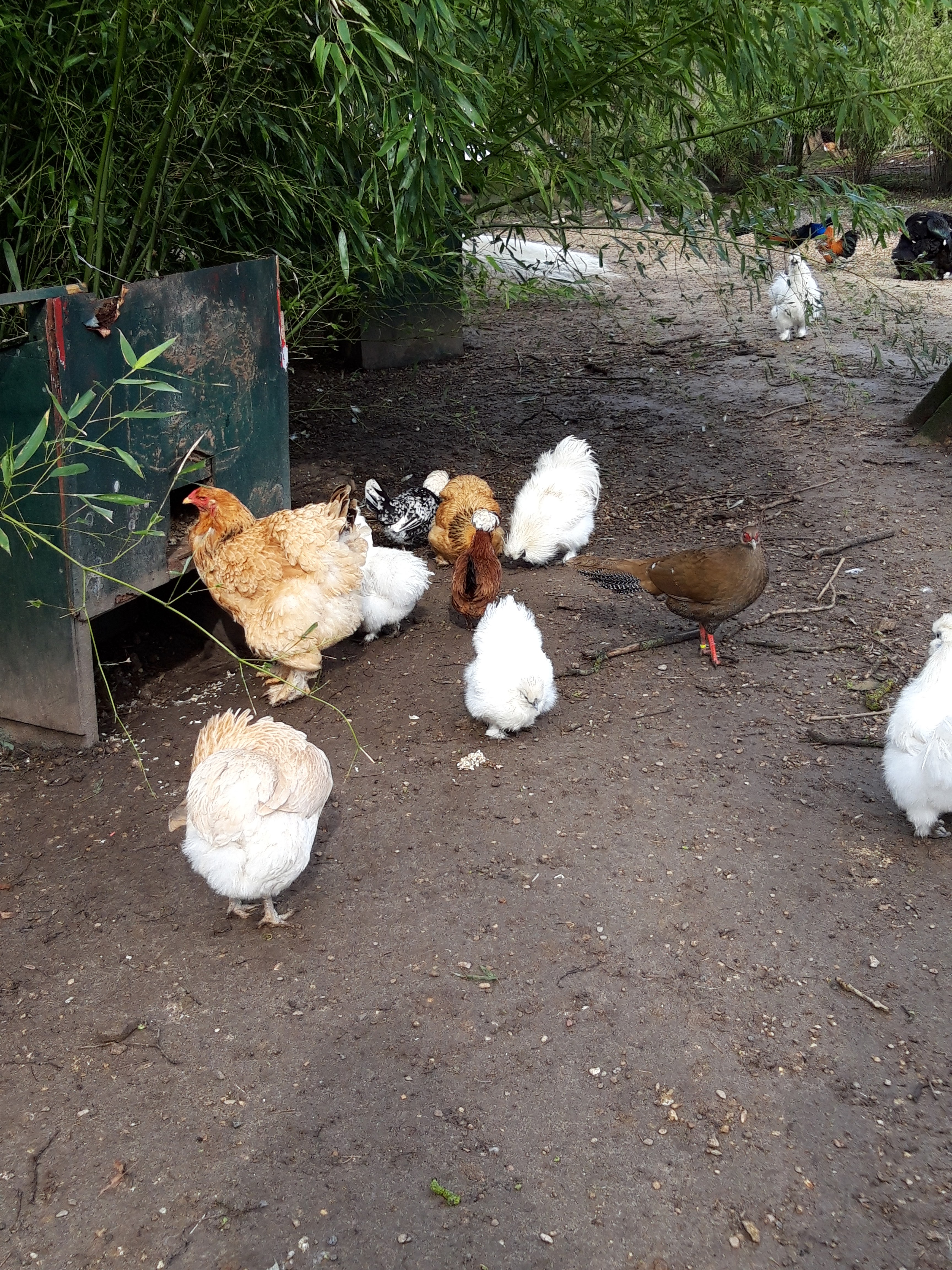 Photo n° 2 de l'avis de Marion.a fait le 27/03/2019 à 07:22