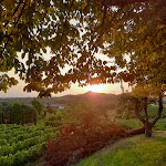 Photo n°8 de l'avis de Patrizia.t fait le 21/07/2021 à 08:36 sur le  Solder Agriturismo à Corno di Rosazzo