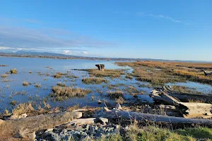 Fir Island Farms Reserve Unit image