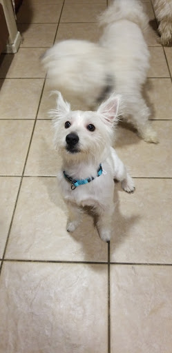 Pet Supply Store «PetSmart», reviews and photos, 2828 Campus Pkwy, Riverside, CA 92507, USA