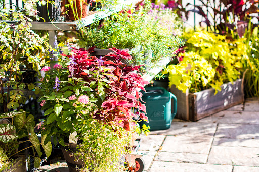 Hardware Store «Thompson Ace Hardware», reviews and photos, 9742 Old St Augustine Rd #114, Jacksonville, FL 32257, USA