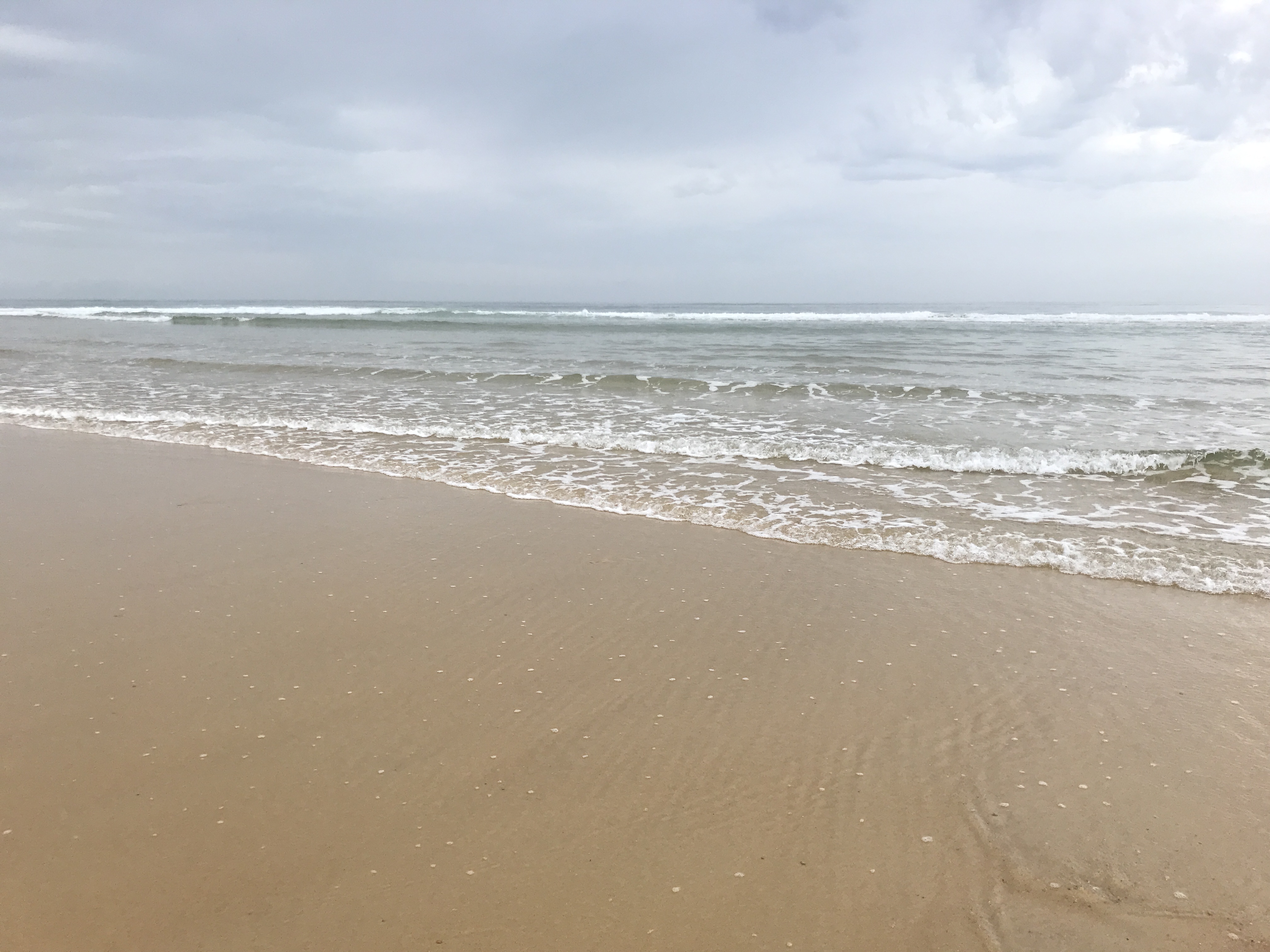 Photo n° 4 de l'avis de Kevin.e fait le 12/09/2018 à 16:31