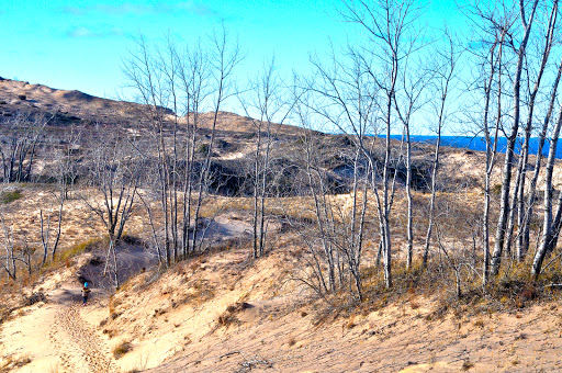 Tourist Attraction «Dune Climb», reviews and photos, 6748 S Dune Hwy, Glen Arbor, MI 49636, USA