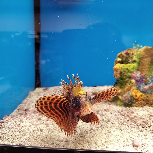 Pet Supply Store «Petco Animal Supplies», reviews and photos, 8775 SW Tualatin-Sherwood Rd, Tualatin, OR 97062, USA