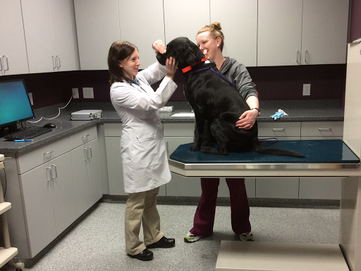 Bemidji Veterinary Hospital image