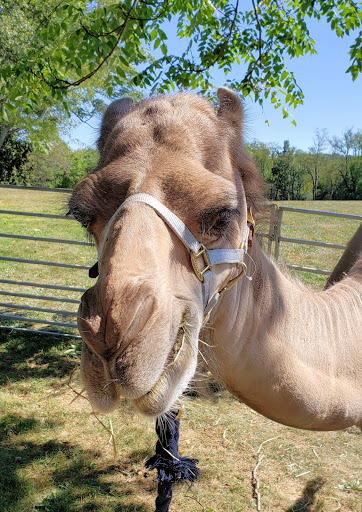 Park «Warwick Town Park», reviews and photos, 117 Union Corners Rd, Warwick, NY 10990, USA