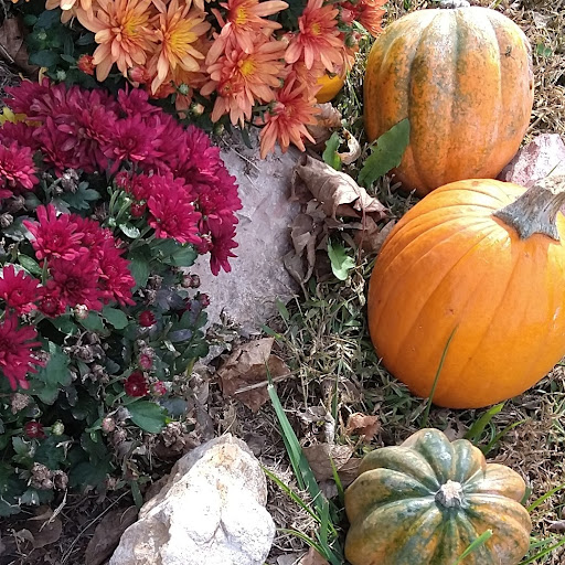 Thrift Store «Second Blessing Thrift Store Inc.», reviews and photos, 2323 Central Ave, Wichita, KS 67214, USA