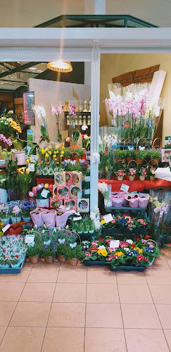 Értékelések erről a helyről: Krisztina virágüzlet, Székesfehérvár - Virágárus