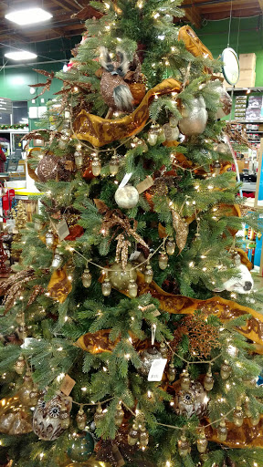 Hardware Store «Orchard Supply Hardware», reviews and photos, 19330 Hawthorne Blvd, Torrance, CA 90503, USA