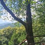 Photo n°3 de l'avis de Simone.r fait le 21/06/2020 à 13:45 sur le  il Cascinotto - Parco Burcina à Pollone