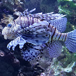 Photo n° 3 de l'avis de Jessica.u fait le 11/08/2018 à 15:23 pour Palais de la Porte Dorée à Paris