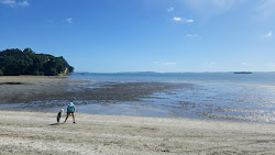 Photo de Cockle Bay Beach avec un rivage spacieux