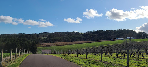 Winery «Ardiri Winery & Vineyards», reviews and photos, 35040 Southwest Unger Road, Cornelius, OR 97113, USA