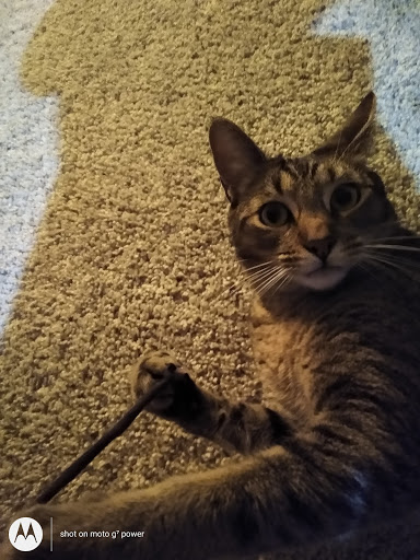 Thrift Store «Goodwill», reviews and photos, 390 Plaza Dr, Folsom, CA 95630, USA