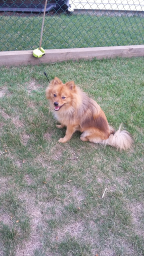 Golf Course «George Wright», reviews and photos, 420 West St, Hyde Park, MA 02136, USA