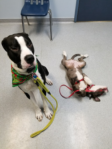 25232 US-12, Sturgis, MI 49091, USA