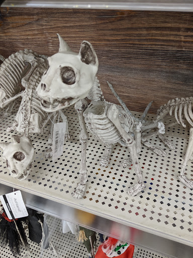 Craft Store «Michaels», reviews and photos, 14501 Eureka Rd, Southgate, MI 48195, USA