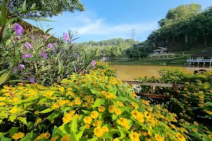 SHAM Lake Bukit Jelutong image
