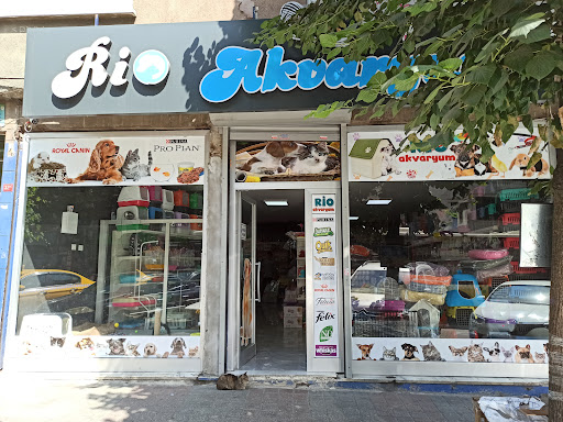 Rio Akvaryum | Gaziosmanpaşa İstanbul - Evcil hayvan mağazası