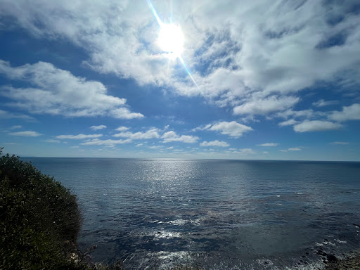 Natural History Museum «Point Vicente Interpretive Center», reviews and photos, 31501 Palos Verdes Dr W, Rancho Palos Verdes, CA 90275, USA