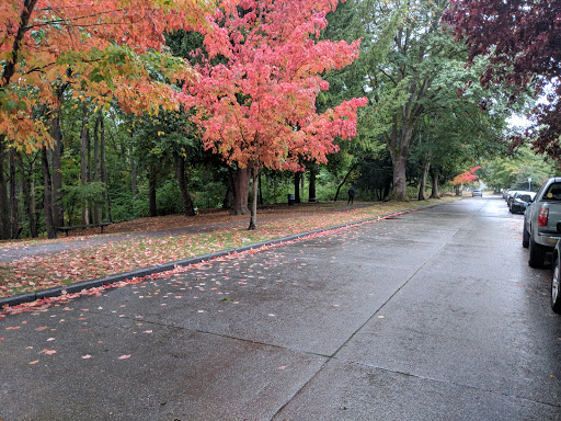 Park «Cowen Park», reviews and photos, 5849 15th Ave NE, Seattle, WA 98105, USA