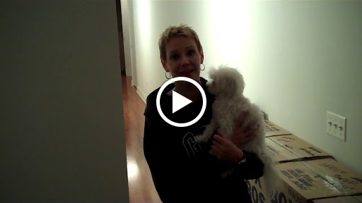 Moving and Storage Service «New City Moving», reviews and photos, 2358 N Damen Ave, Chicago, IL 60647, USA