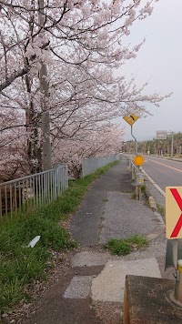 馬渡橋