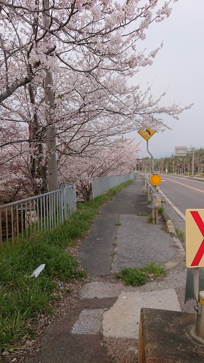 馬渡橋