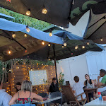 Photo n° 1 de l'avis de François.e fait le 09/09/2023 à 18:07 pour La gare d'eden à Limoux