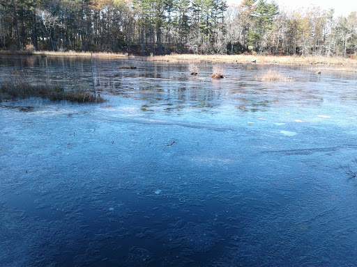Nature Preserve «The Nature Trail and Cranberry Bog», reviews and photos, 252 Patriot Pl, Foxborough, MA 02035, USA