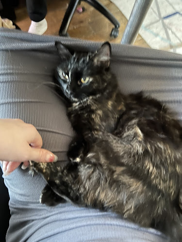 Comentarii opinii despre UCVet - Urgences et Consultants Vétérinaires