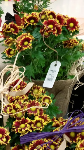 Grocery Store «Jewel-Osco», reviews and photos, 1600 Deerfield Rd, Highland Park, IL 60035, USA